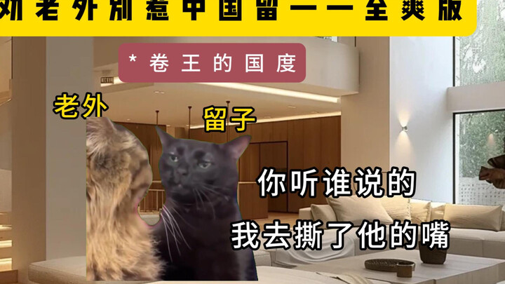 Why they say you shouldn’t mess with Chinese international students