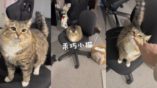 لطيف جداً لطيف جداً 🥹