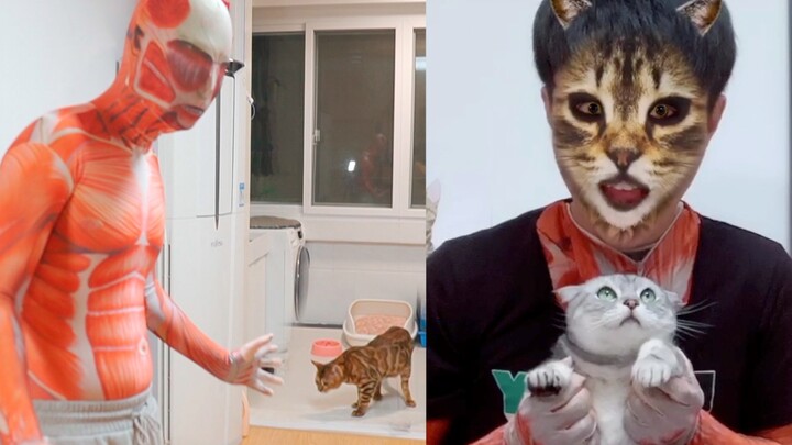 Khi chủ nhân mặc đồ quỷ và trang điểm kỹ xảo, liệu chú mèo trong nhà có sợ không?