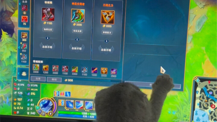 Your Camille isn’t even as good as my cat.