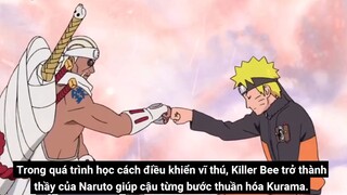 Naruto Chỉ Top 2 Top 10 Jinchuriki Mạnh Nhất Lịch Sử Shinobi p3