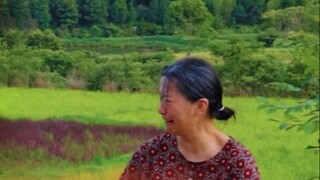 Mùa hè tuổi thơ so với mùa hè hiện tại, liệu mùa hè trong ký ức của chúng ta có thể tìm lại được khô