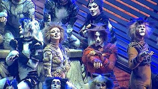 IL MUSICAL CATS AL SISTINA: la spazializzazione audio lascia stupefatti!