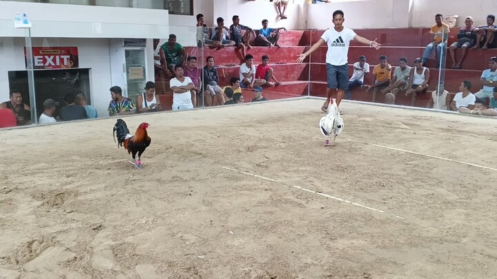 1st fight 2-hits ulutan leiper hatch Champion