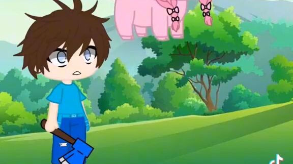 flying dead pig dies