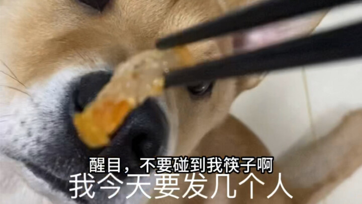 呐，这就是“专业”