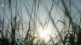 Ninh An Như Mộng Tập 32 Vietsub