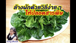 วิธีล้างผักแบบง่ายๆ ให้ปลอดสารพิษ Easy way to clean and remove Pesticides from vegetables and fruits