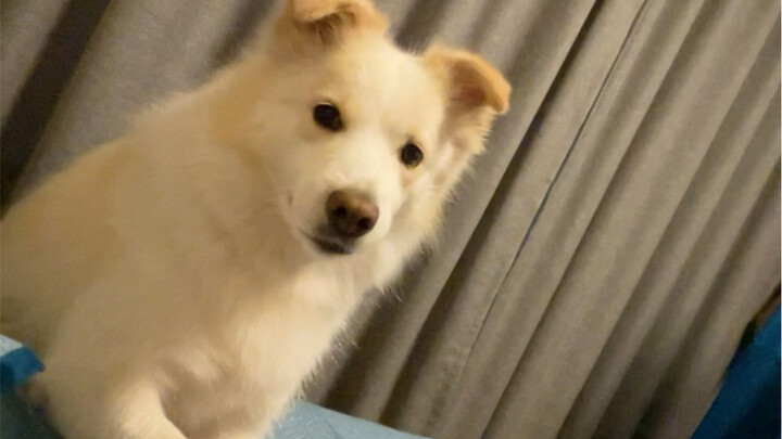 I know it's all my fault—my Mandarin is just too, well, "unordinary." How on earth can I cure this c