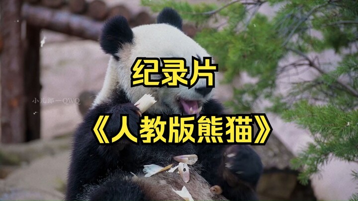 Bộ phim tài liệu quy mô lớn “Gấu Trúc Bản Nhân Giáo” gây chấn động vừa lên sóng – chỉ cần liếc qua l