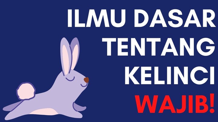 Cara Dasar Merawat Kelinci yang Wajib Kamu Ketahui
