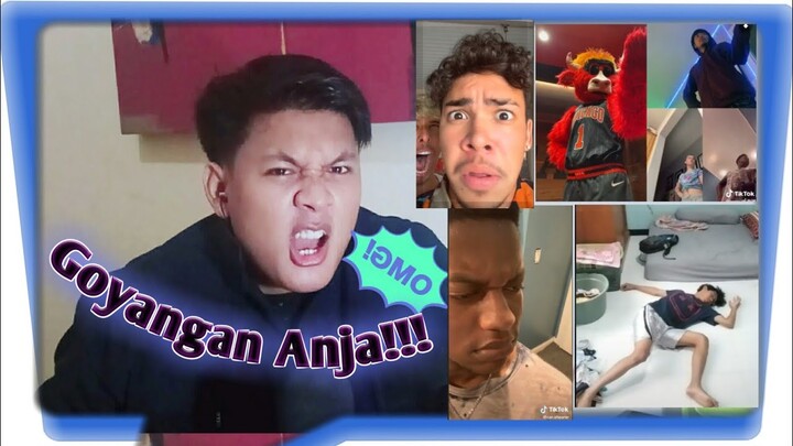 WARGA TIKTOK MENCIPTAKAN GOYANGAN BARU!!! | REACTION #23 | KVG