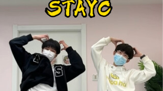 Teddy Bear-STAYC 男生翻跳