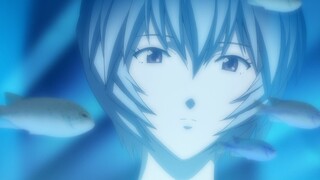 【EVA】Ayanami Rei's birthday live broadcast clip! Let's review Eva! Please don't do it in the Central