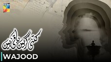 Kitni Girhain Baqi Hain | Wajood | Sonya Hussain - Haroon Shah | Pakistani Anthology Series | Hum TV
