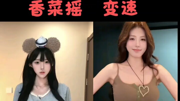 สะบัดผักชี ตามจังหวะแล้วเฮฮากันเถอะ