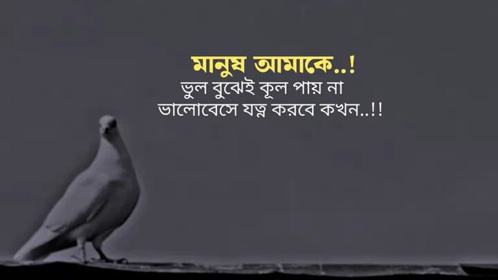 মানুষ আমাকে