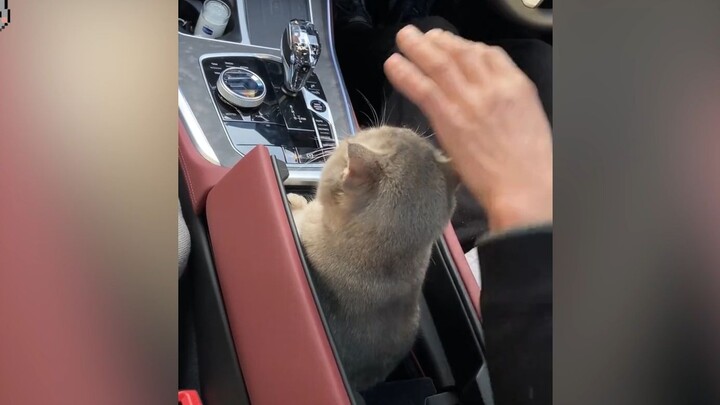 นี่...น่ารักเกินไปแล้วนะ~!!!