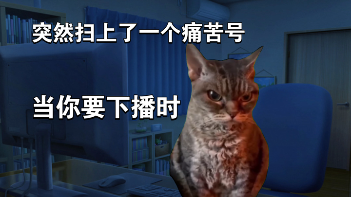 猫meme｜当你准备下播时，抢码扫上来一个痛苦号怎么办