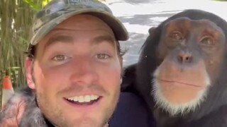 黑猩猩和狮子宝宝的初次见面，一段跨越物种的友情，就这样开始咯