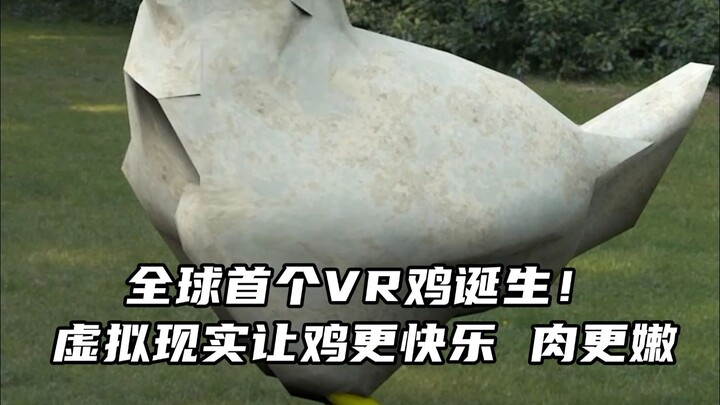 أول دجاجة VR في العالم ترى النور! علماء أمريكيون يستخدمون الواقع الافتراضي لجعل الدجاج أكثر سعادة ول