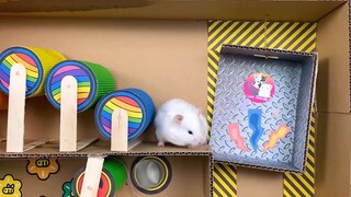 ภารกิจของหนูแฮมสเตอร์ EP 373