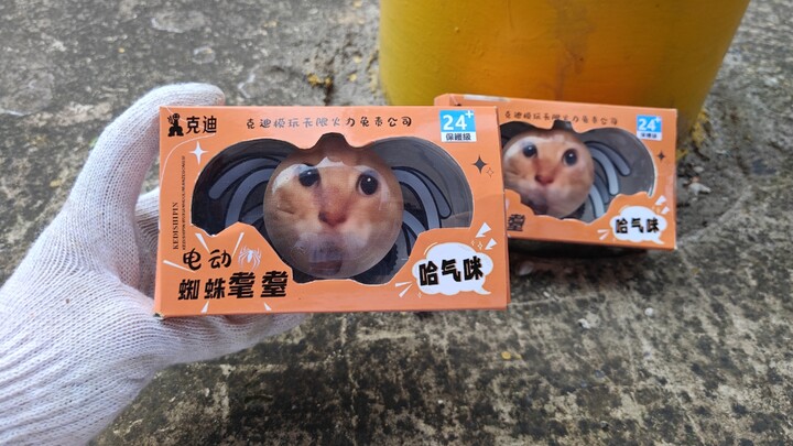 Hot toy at the school gate: the electric spider — seriously fun, rated 9 out of 10!