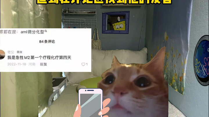 لديك ارتفاع شاهق، وأنا أتمنى أن أدعك تحلّق.