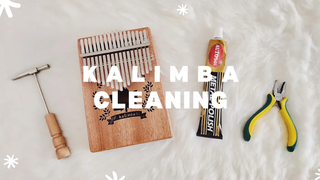 วิธีทำความสะอาดคาลิมบา // กวดวิชาคาลิมบา