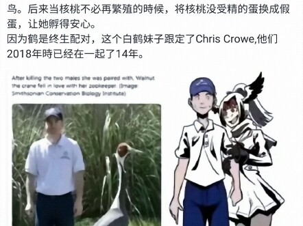 你说的爱和永恒到底是什么意思 是不会融化的雪人 还是不落泪的爱人