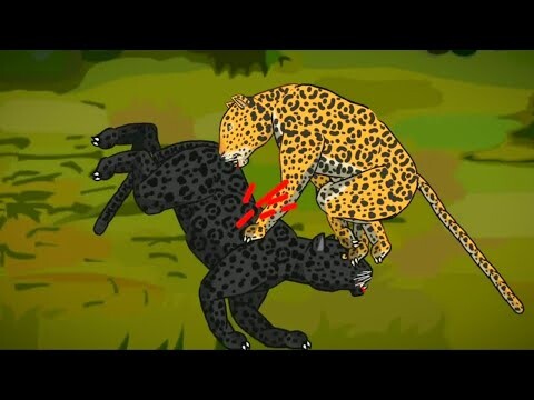 JAGUAR VS BLACK JAGUAR ANIMATION