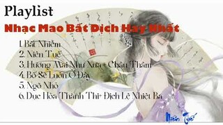 [Playlist] Nhạc Mao Bất Dịch Hay Nhất