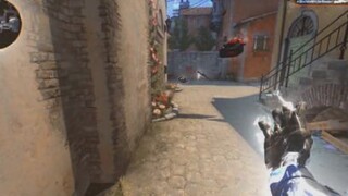PRO CSGO 2021