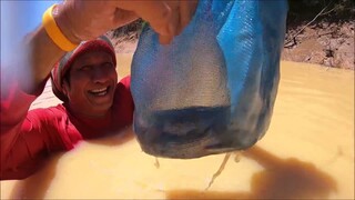 ลงหนองว่านแหจับปลา!!ปลาคอใหญ่หลุดมือพ่อใหญ่หมอแคนต่อหน้าต่อตา!!