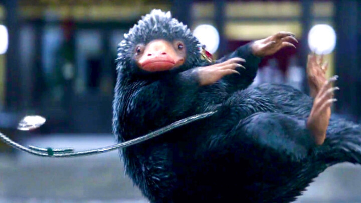 "สูดอากาศ"