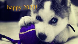 happy 2023!