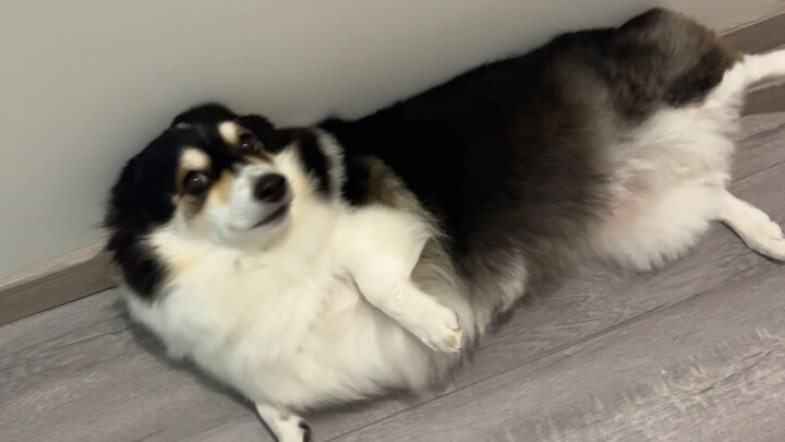 Mom, why does our floor feel… like it’s leaking electricity…?