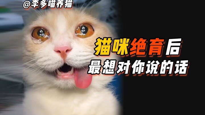 猫咪绝育后，最想让你知道的5件事