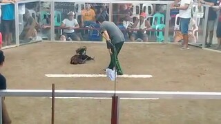 panabo mulitbog   5ksweater