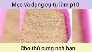 Mẹo và dụng cụ tự làm cho thú cưng p10