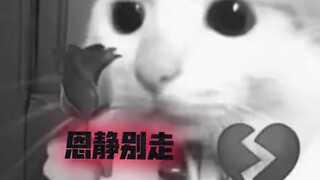 Ân Tĩnh đừng đi!! Các bạn mà đi thì tôi theo ai đây! Đừng vì mấy thằng khốn đó mà tức giận được khôn