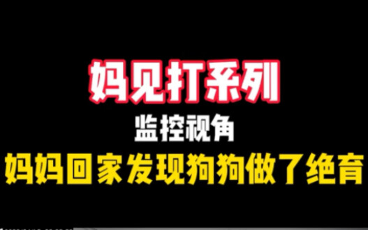 妈见打系列：妈妈回家发现狗狗做了绝育