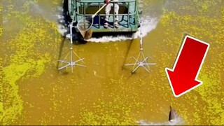 metode electric fishing di america