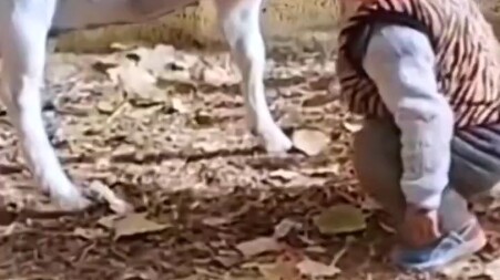 “  เถียงกัน  ”