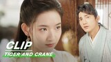 Miss Zhao Pretends not to Know Huzi | Tiger and Crane EP03 | 虎鹤妖师录 | iQIYI
