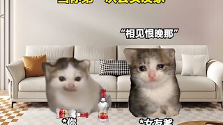 当你第一次去女友家时 #猫Meme #逆天 #万万没想到