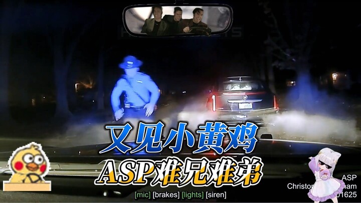又见小黄鸡，来自ASP的一对难兄难弟