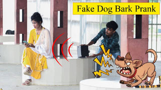 รวมคลิปตลก EP 93 ได้ยินเสียงหมาเห่าแต่หมาอยู่ไหน