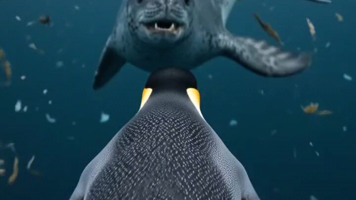 Leopard Seal vs Emperor Penguin — The Last Second Escape