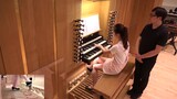 Church Organ Cover | 'Senbon Zakura' 